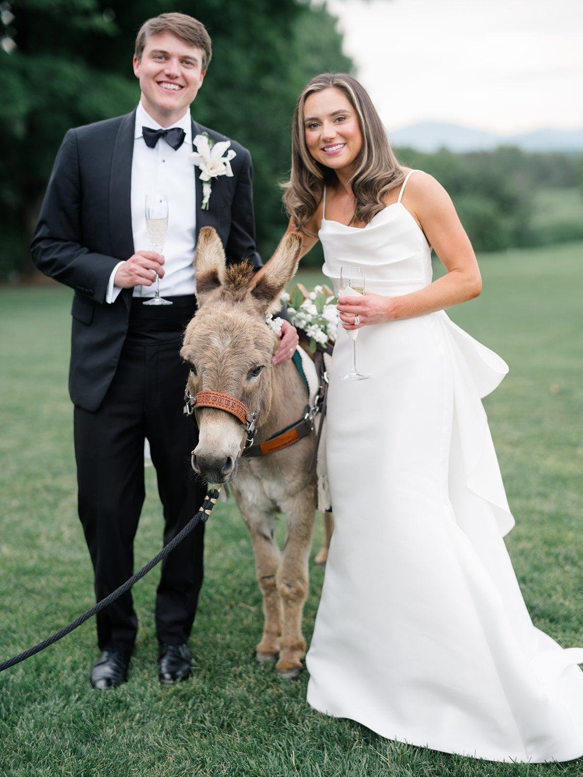 Farmington Country Club Wedding cocktail ideas Big Ray and the Kool Kats the wandering beer burros