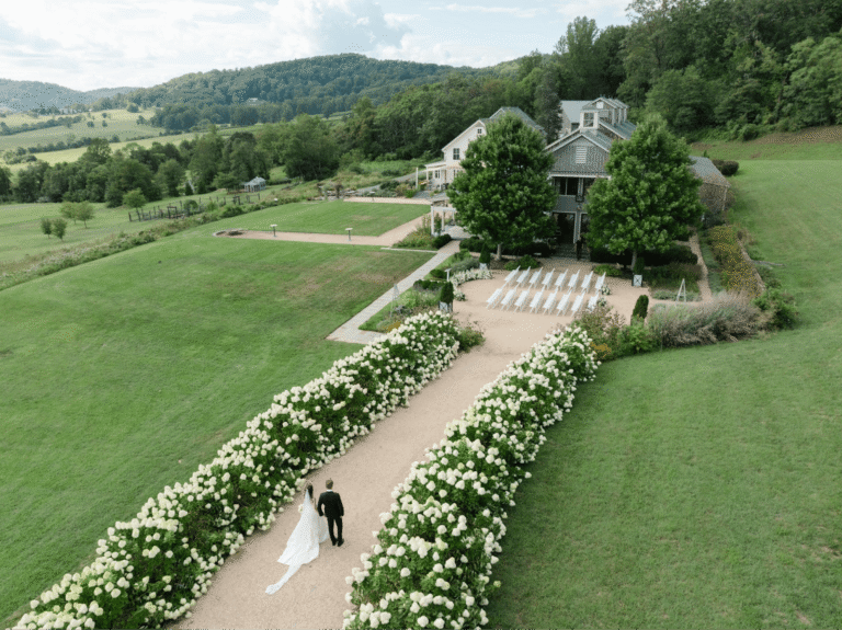 Pippin Hill summer wedding