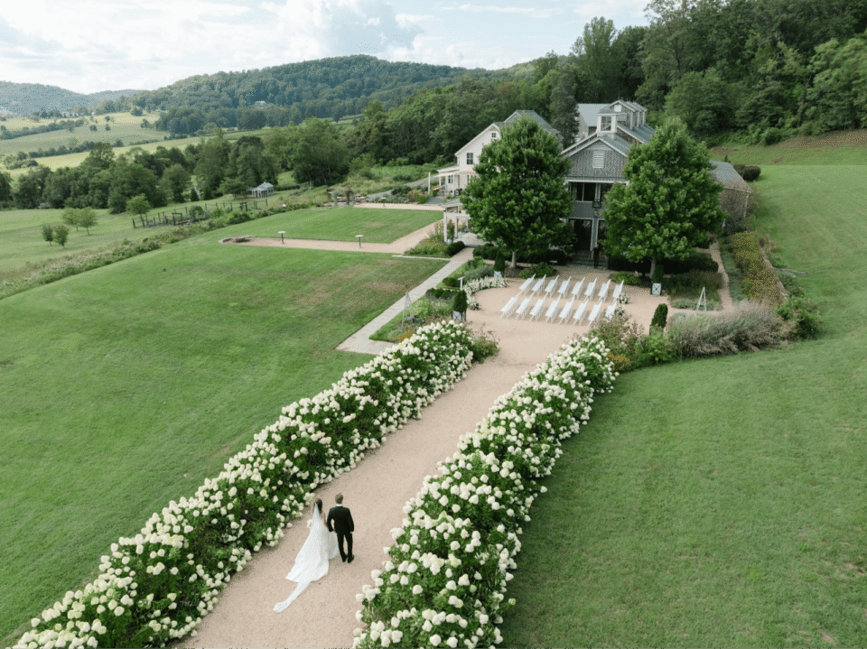 Pippin Hill summer wedding