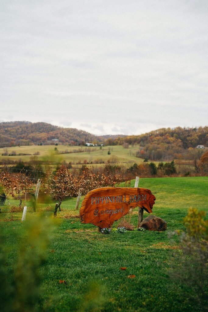 Gideon Photo Pippin Hill Farm & Vineyards Fall wedding
