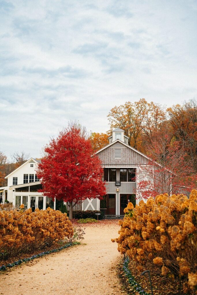 Gideon Photo Pippin Hill Farm & Vineyards wedding Fall inspiration