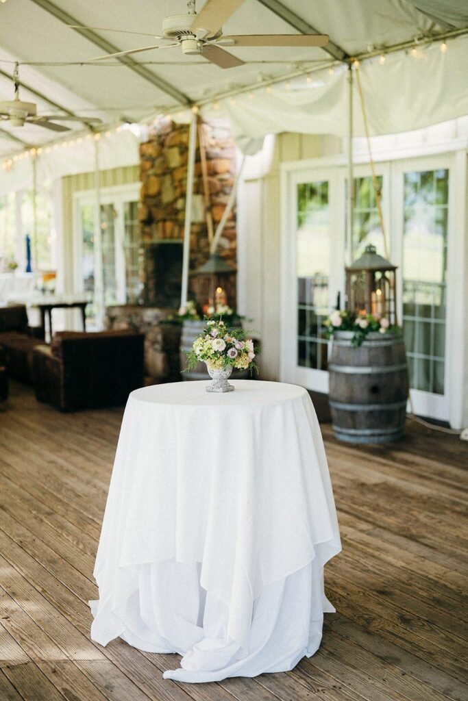Veritas Vineyards wedding cocktail hour