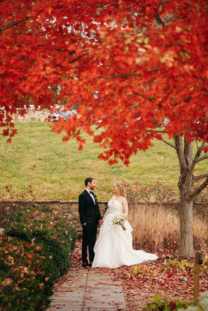 Gideon Photo Pippin Hill Farm & Vineyards wedding bride and groom portrait